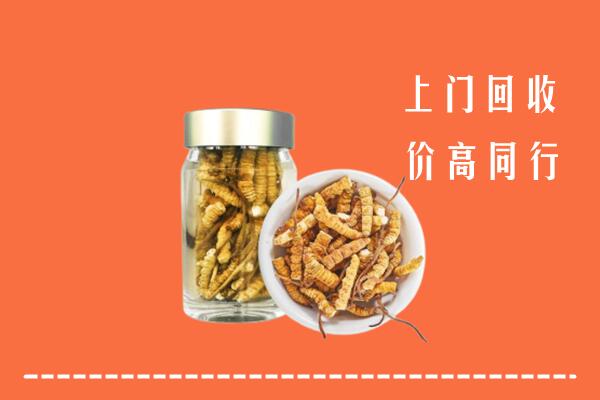 屯昌回收冬虫夏草