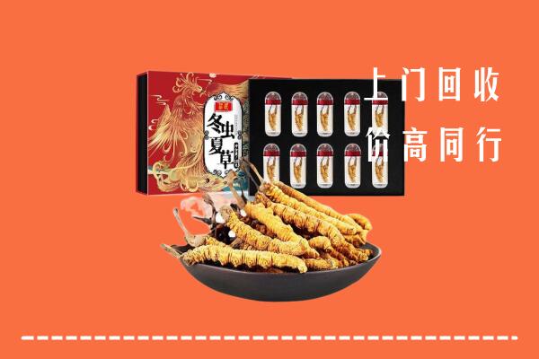 屯昌回收虫草